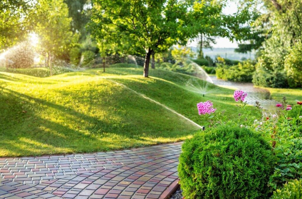 Lawn Maintenance vs. Lawn Care – What Do I Need?
