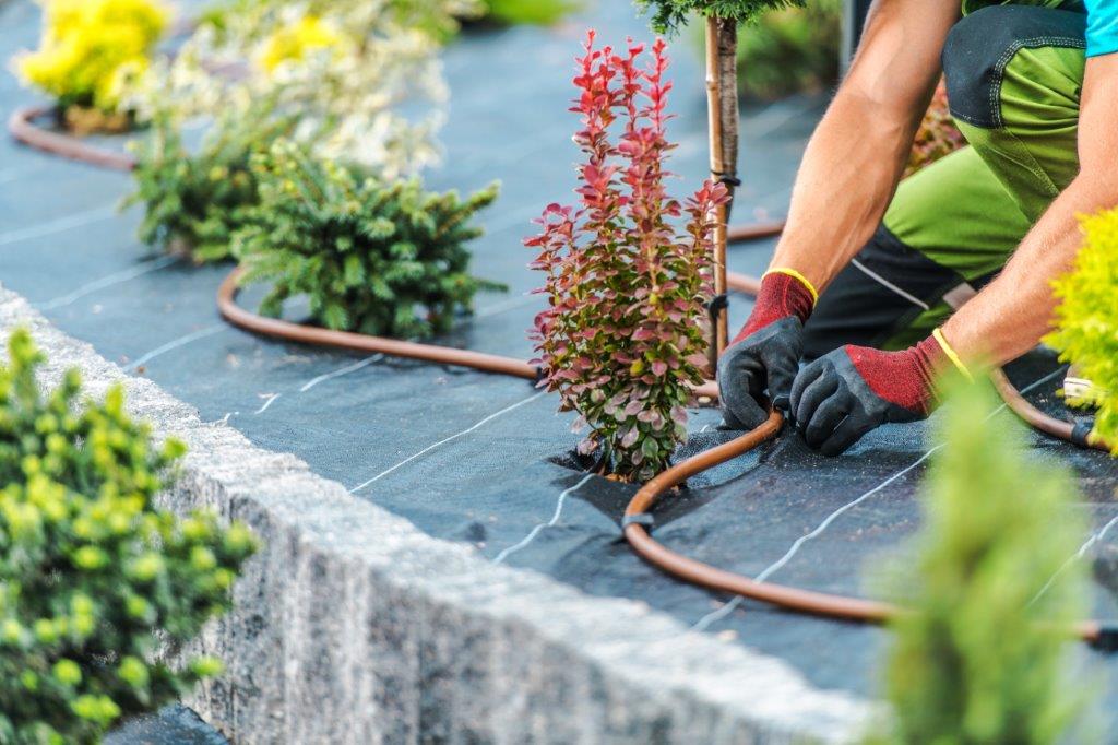 a person setting up an irrigation system in a garden