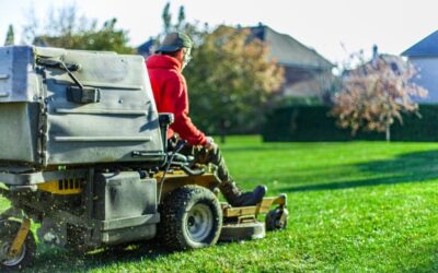 7 Reasons Why You Need Residential Yard Maintenance