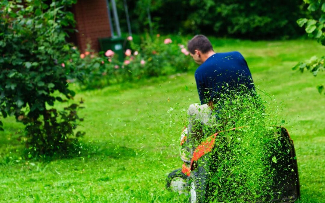 7 Helpful Natural Lawn Care Tips for Your Yard