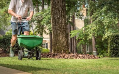 How to Fit Yard Care Into Your Calendar Without Sacrificing Weekends