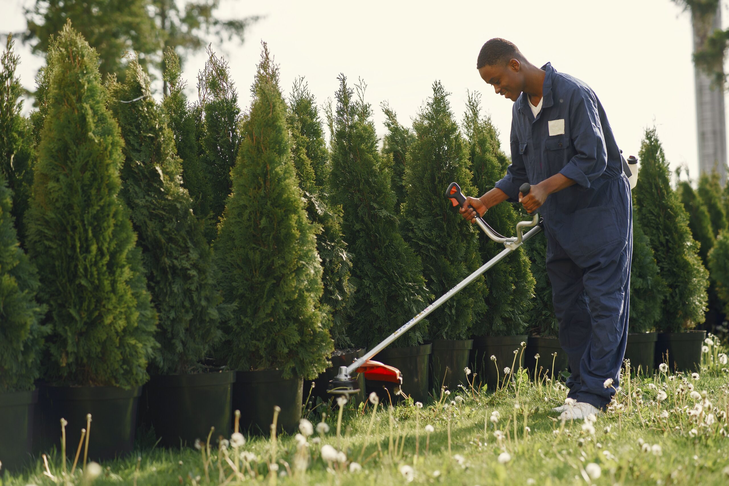 How to Stay HOA-Compliant and Create a Low-Maintenance Landscape That Stands Out